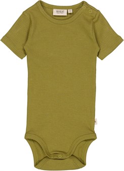 Wheat Rib Body Plain SS - Frog